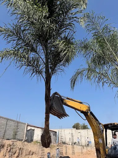 Trabajo de jardinería SEJACSA 10