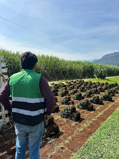 Trabajo de jardinería SEJACSA 4