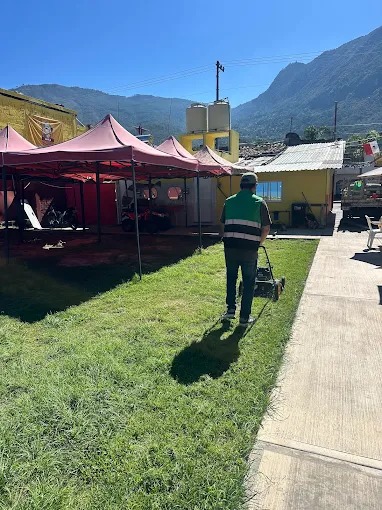 Trabajo de jardinería SEJACSA 6