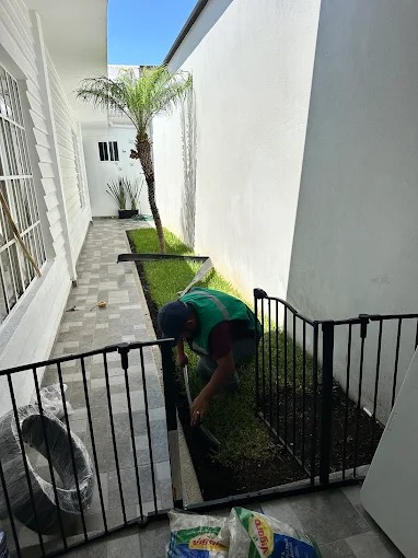 Trabajo de jardinería SEJACSA 7